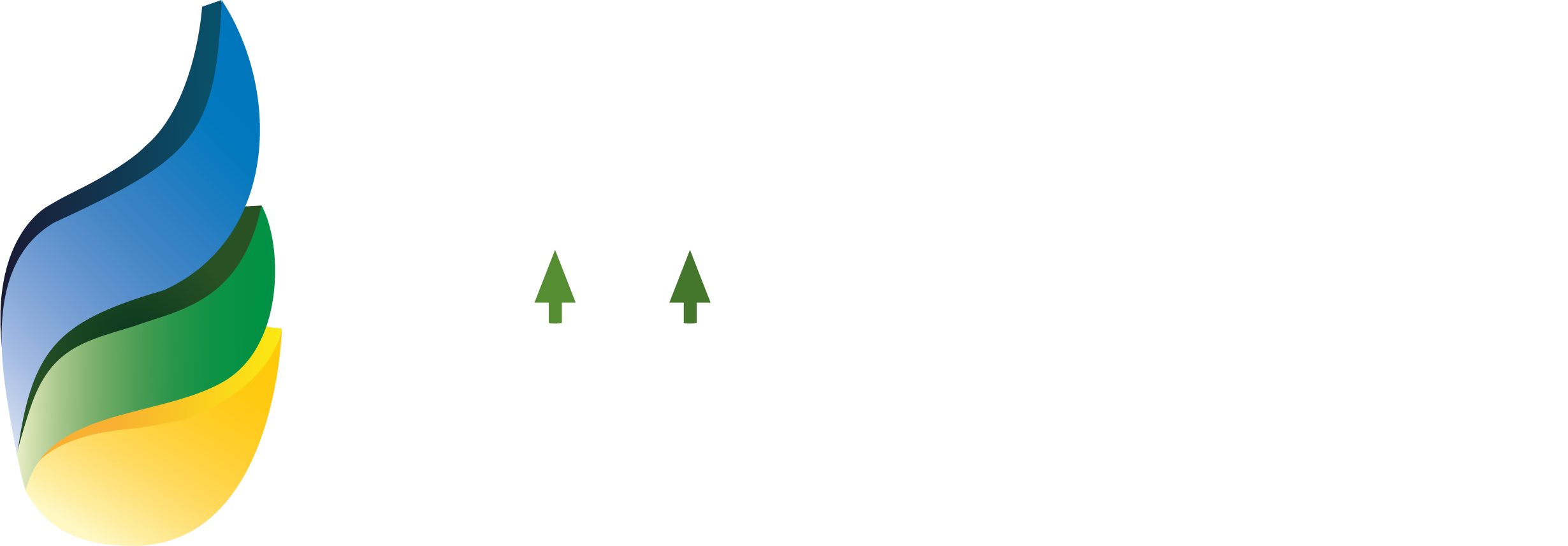 Cooperativa Eléctrica de Trelew